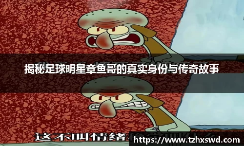 揭秘足球明星章鱼哥的真实身份与传奇故事