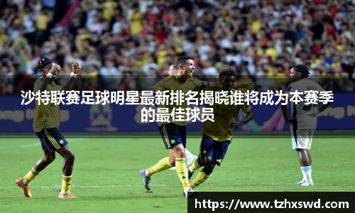 星空xingkong官方网站